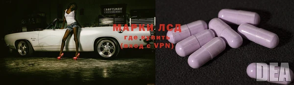 СК Абинск